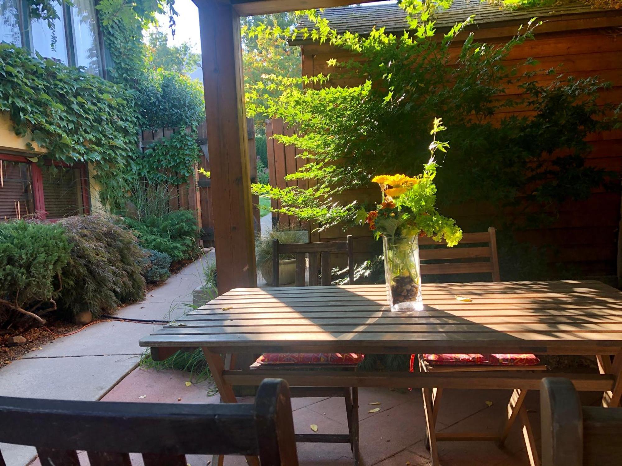 Mistisos Place Vacation Rentals Нельсон Экстерьер фото